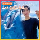 괌 돌고래 투어 예약 스타돌핀크루즈 지금괌닷컴