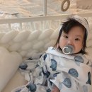 블라썸베이비