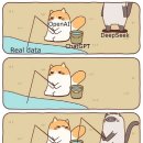 시크(Seek) 이미지