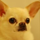 몽글몽글 이미지