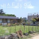 한그루게스트하우스 이미지