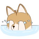 독도회세꼬시 이미지