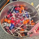 착한식당 | 무의도맛집 착한식당 능이삼계탕 후기｜하나개해수욕장맛집 추천