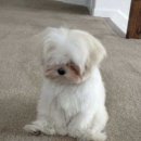 세이브포인트 이미지