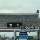 베로분식 | 10월 경주 1박2일 여행(f. 병원방문)