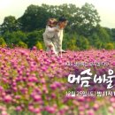 바울기획 이미지