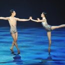 발레 천학의 비상 이미지