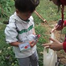 상록어린이집 이미지