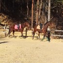 사천승마장 이미지