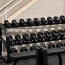 디오션피트니스 이미지