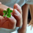 단양농부마을 이미지