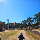 준이솔라 | 울산 간절곶 정크아트 무료전시 주말 찐후기 (ft.28개월아기)