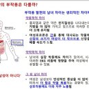 금성헬스 이미지