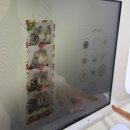 야시 | 동문시장가볼만한곳 제주네컷상회 야시장점 | 제주 셀프스튜디오