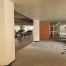 세아초등학교 이미지