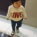 베베빠숑 구매후기2탄