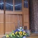 원주제일 이미지