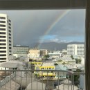 청년, Forest | 케언즈 2일차 : 쿠란다 마을, 코레아코레아, 츄로타임