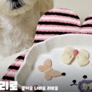 데일리로(DailyRo) 이미지