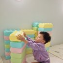 버블룸