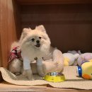 산책가까 이미지