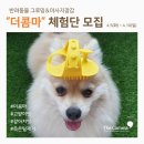 힐링그루밍 이미지