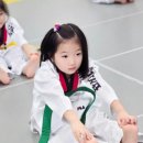 왕성태권도장 이미지