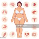 경희복싱클럽 | 중년들의 살 빼기…운동과 공복 유지, 가능할까?