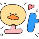 좋은카용품 이미지