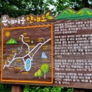 김가네더덕오리 이미지