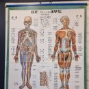 동일지압안마원 이미지