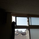 서현약품 이미지