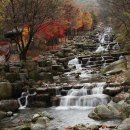 비슬산자연휴양림 이미지