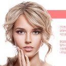 쉬즈위시의원 이미지