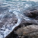 파도 한 송이 이미지