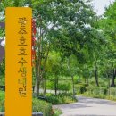 뉴힐링투어