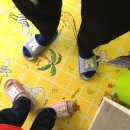 요술곰 동물원 | 고양이랑 놀자/요술곰동물원, 원주 고양이카페 다녀온 후기