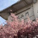 서부로 | 강진남미륵사 서부해당화 축제 철쭉 실시간 개화 후기