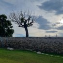 성동민박 이미지