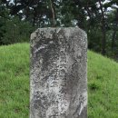 청송심씨안효공파종회 | [경기 수원]안효공 심온 묘(세종국구)