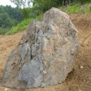 버팀목농원 이미지