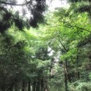 남인목장 | ‘Nine’