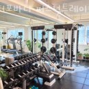 닥터포바디퍼스널트레이닝 이미지