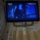 장튼위튼병원 | 복막염까지 진행된 맹장염, 장튼위튼병원 나의 수술 &amp; 회복 기록 2편