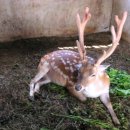 아침빛한의원 이미지