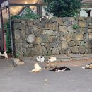 미로공원 화장실 이미지