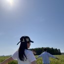 SK군산self주유소 | 군산 여행 필수코스?🌾 옥녀교차로 청보리밭 재방문 의향 40%