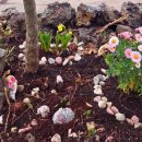 프렌치 비자림 이미지