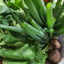 서봉산 산림욕장 1 이미지