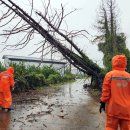 남원읍-124 이미지